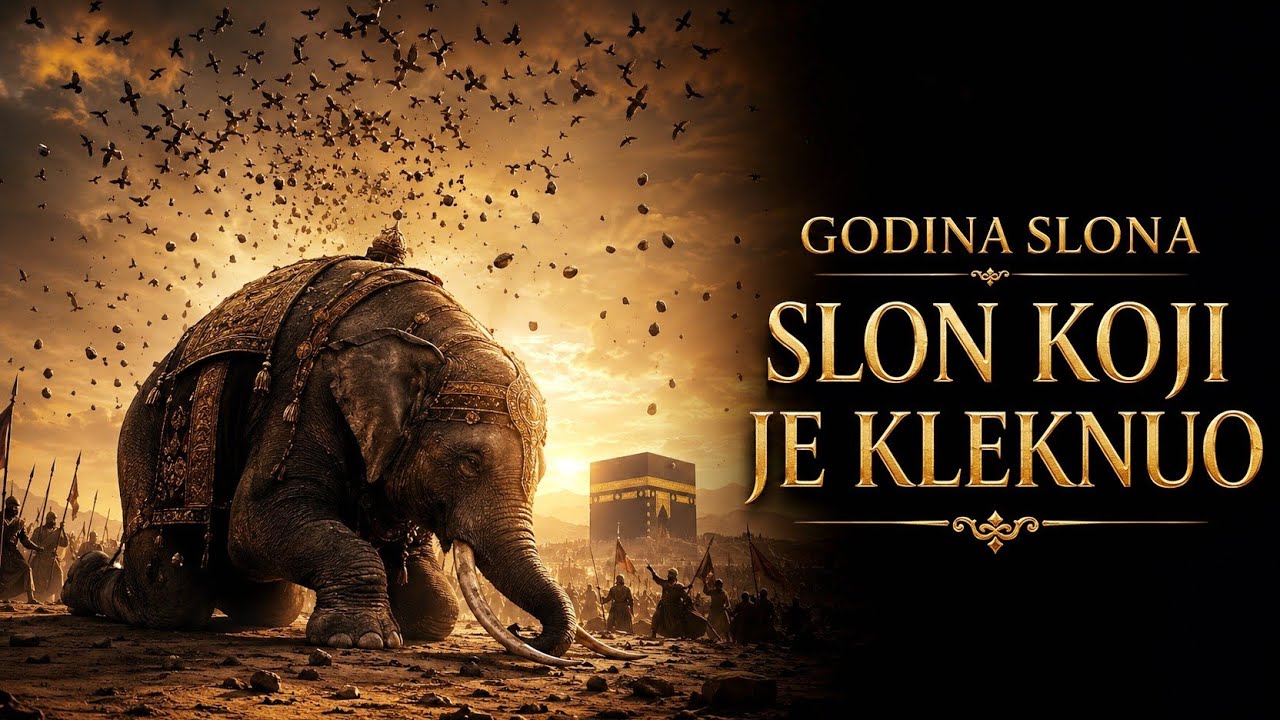 Amul-Fil: Slon Koji Nije Htio Ući u Mekku - Sura El-Fil