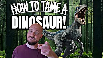 Taming a Baby DINOSAUR?! My Juvenile Ackie Monitor | WestbayReptiles