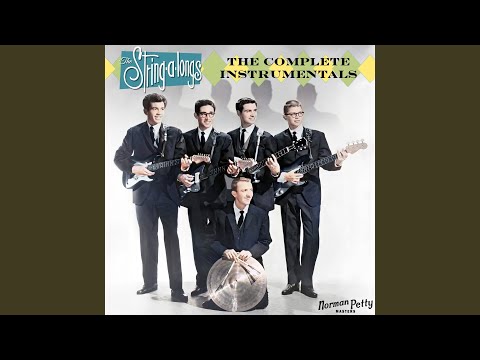 The String-A-Longs — Mina Bird (Mono 45 Mix)