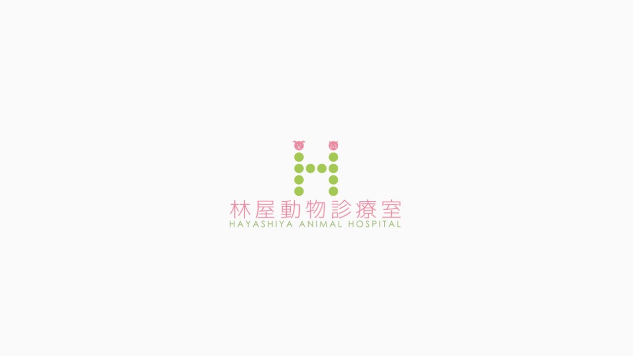 林屋動物診療室 Official Website 京都動物病院 林屋動物診療室 獣医 ペットクリニック ペット病院
