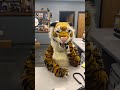 Oh Where Oh Where Are Our Students Fall Come Soon Shorts Mcc Tiger Communitycollege College Oh Where Oh Where Are Our Students Fall Come Soon Shorts Mcc Tiger Communitycollege College