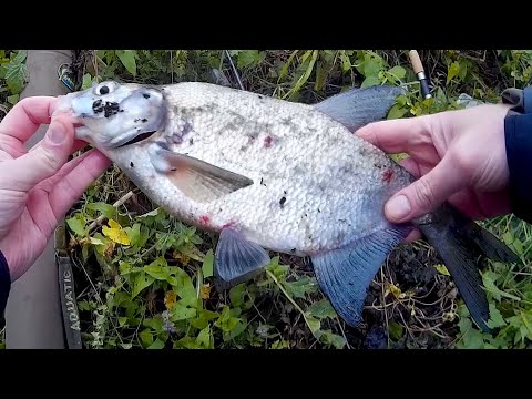 Отличная самодельная насадка для рыбалки.