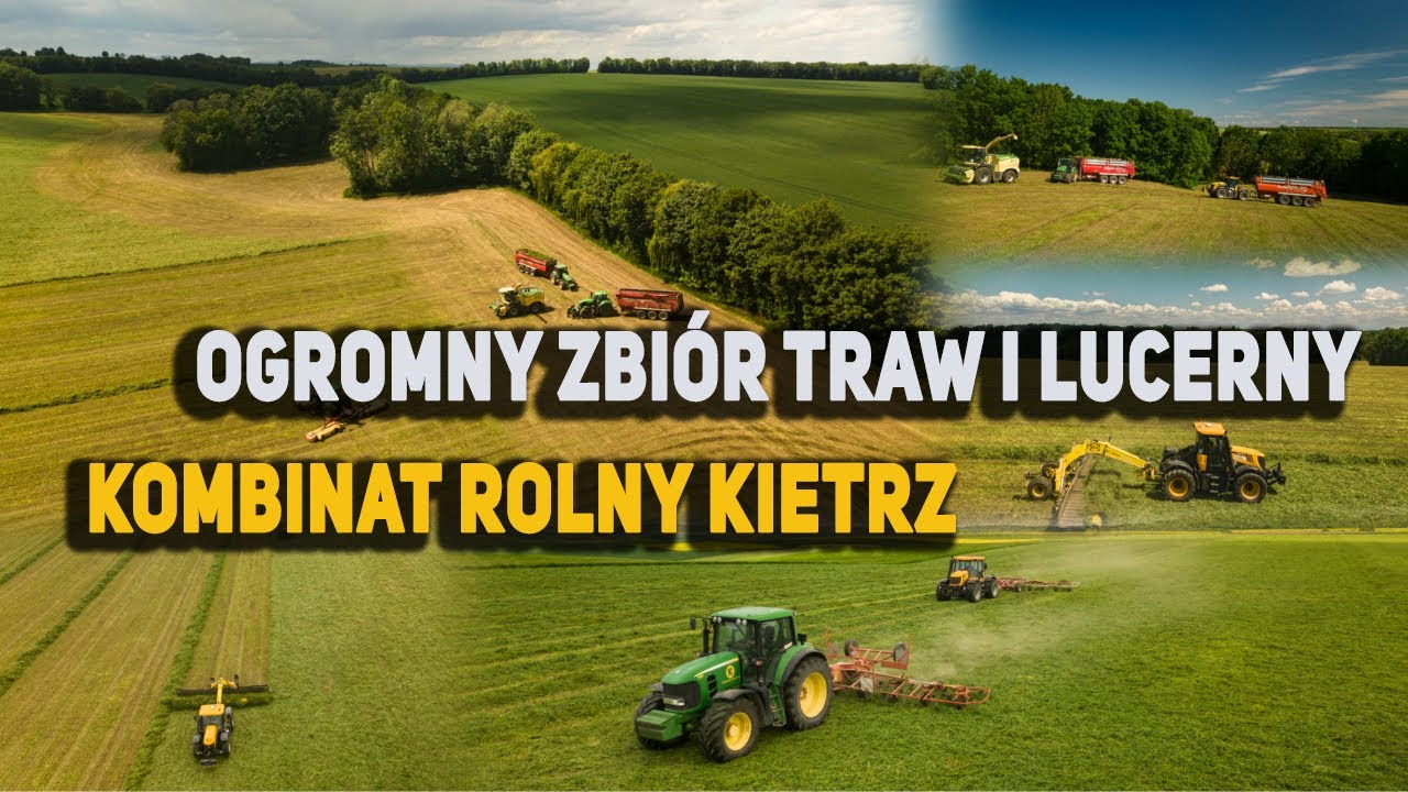 PIERWSZY POKOS| 1000ha zebrane😱 KOMBINAT ROLNY KIETRZ🔥 NAJWIĘKSZA SIECZKARNIA ŚWIATA KRONE BIG 1180😱