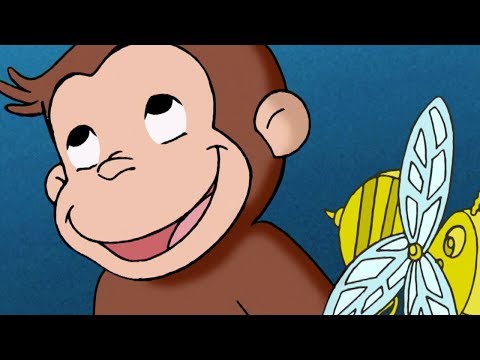 おさるのジョージ たこたこ あがれ TVアニメシリーズ フルシーズン1