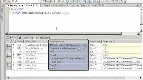 SQL2008DevVol4 Lab1 2   UniqueConstraintsGoodVideo