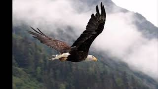 21 Mayis 1864 Büyük Çerkes Sürgünü