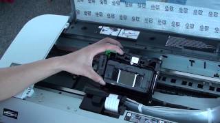 How to replace print head in 4880 EPSON printer