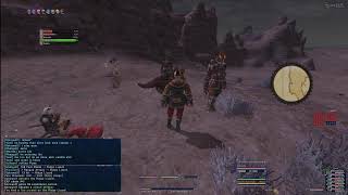 FFXI - HorizonXI  - Puppetmaster Leveling.