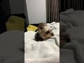 10秒後に襲ってくる斜陽