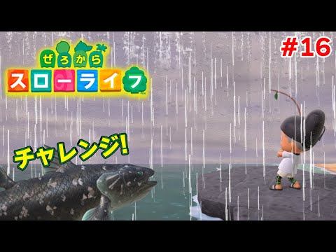 【あつ森】ぜろから始める超スローライフ生活#16【あつまれどうぶつの森】【ぽんすけ】