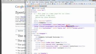 Google Font API