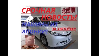 ЯПОНЦЫ СЛИВАЮТ СВОИ МАШИНЫ! ИЛИ КАК ПРИВЕЗТИ АВТО ИЗ ЯПОНИИ САМОМУ!!!