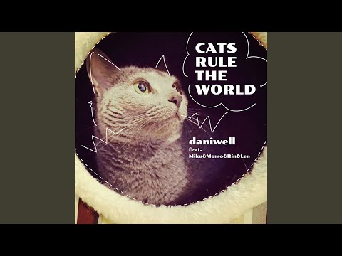 もも猫 hqdefault.jpg