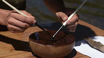 Algoritmo del cosmos 🌀✨