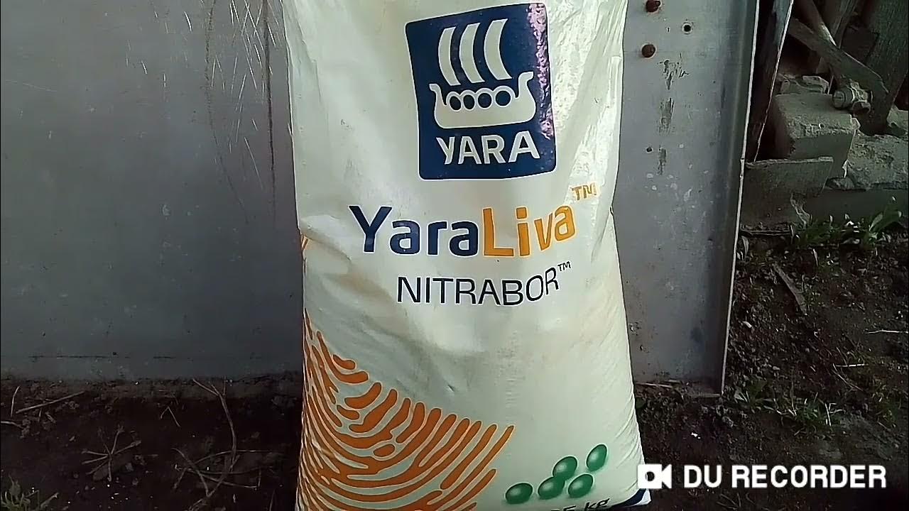 Вносим удобрение Nitrabor Нитрабор YaraLiva. Не вносите эту хрень в ...