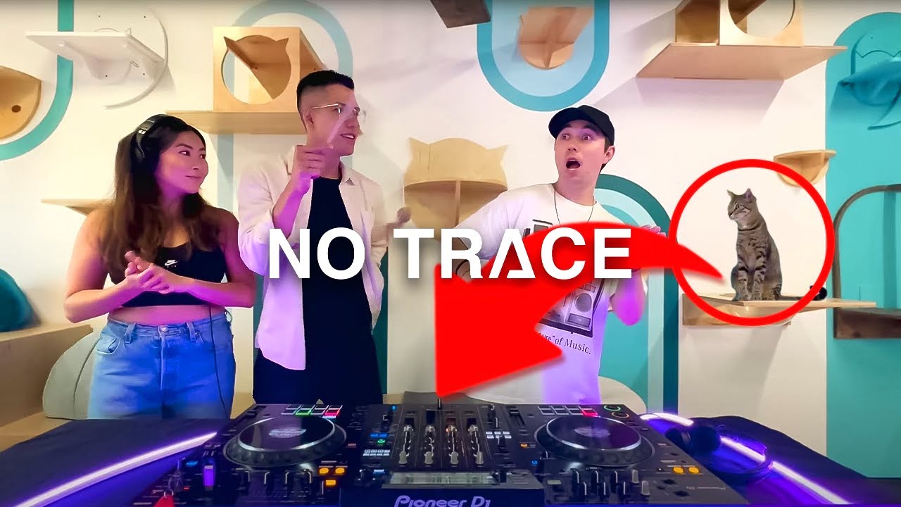 Perfectly Chilled Out DJ Mix @ A Cat Cafe Lounge in Los Angeles No Trace LA