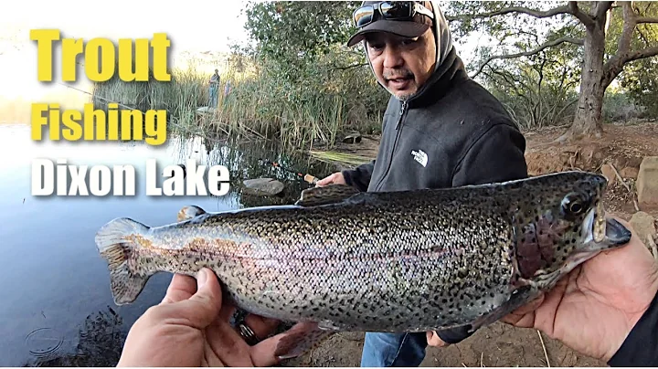 Trout Fishing Lake Dixon (Great Experience!)