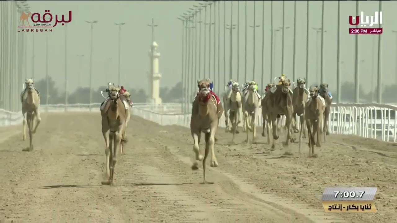 ش5 مثايل لـ أحمد مطر ماجد الخييلي (مهرجان أمير البلاد المفدى 10-4-2025م) شلفة الثنايا بكار 12:16:86