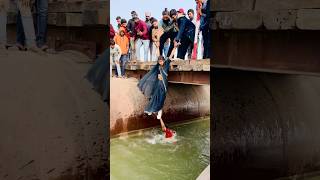 This is not a real video, it has been made with complete safety only to entertain you.
