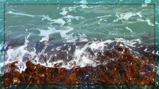 ♒ Colour Therapy - Green Sea Splashes