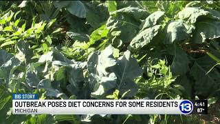 13 Action News Big Story: Cyclosporiasis outbreak