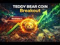 TEDDY BEAR Coin