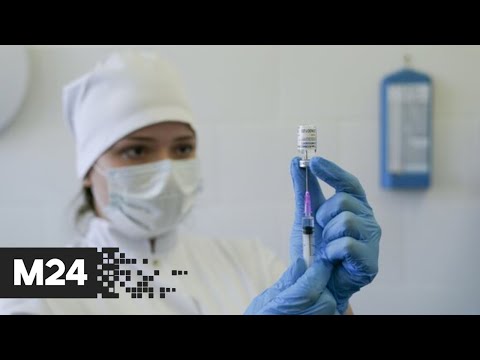 В Подмосковье ввели обязательную вакцинацию от COVID-19 для 80% работников сферы услуг - Москва 24