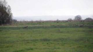 Harper Folie Carentan Dec11.wmv