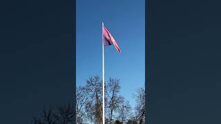 Oneplus Nord CE 3 Lite demo: Flag flying