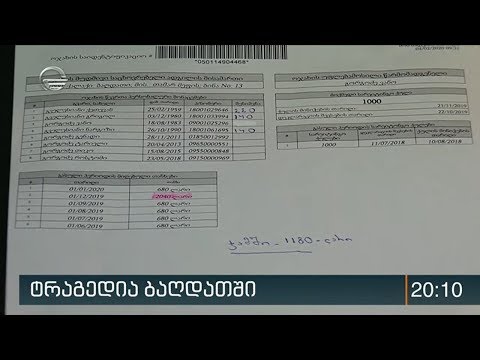 სახელმწიფო გოგოძეების ოჯახს ყოველთვიურად 1330 ლარს ურიცხავდა