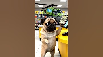 Unboxing & Testing Transforming MILITARY HELICOPTER Robot with Pug Dog | Collector