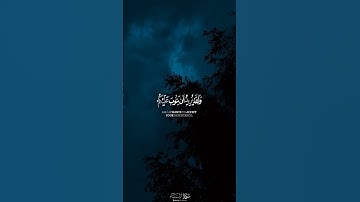 طارق محمد / سورة النساء( والله يريد أن يتوب عليكم) #كرومات #القرآن_الكريم