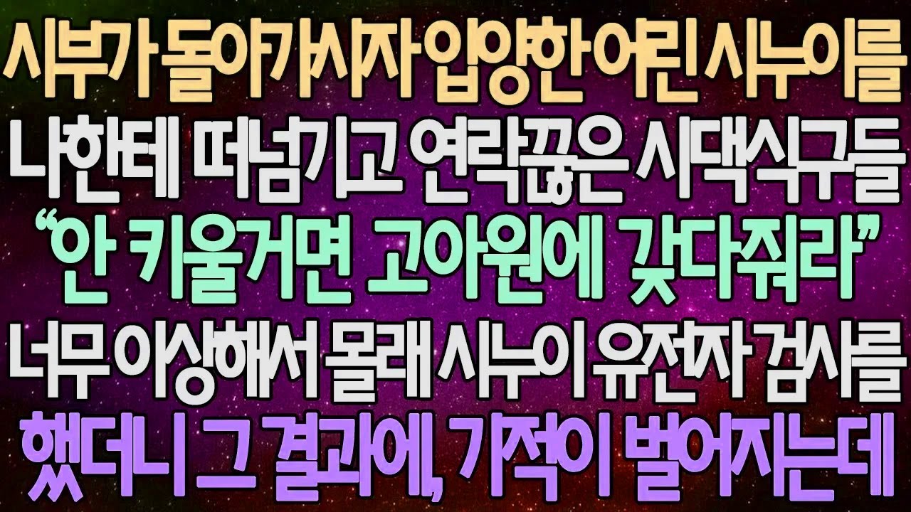 (반전 사연) 시부가 돌아가시자 늦둥이 어린 시누이를 나한테 떠넘기고 연락끊은 시댁식구들 너무 이상해서 몰래 시누이 유전자 검사를 했더니 그 결과에, 기적이 벌어지는데/라디오드라마