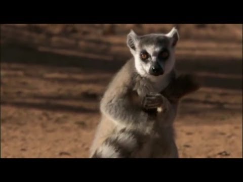 Park Activity-ს განსაკუთრებული ტურნირი