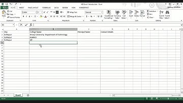 MS Excel- Lesson 1- Introduction