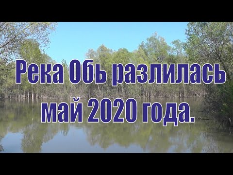 Река Обь разлилась. Май 2020 год. Новосибирск.