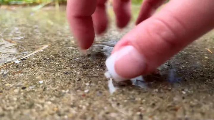 Lofi ASMR Wet Concrete Scratching in the Rain - No Talking + Other Nature Sounds