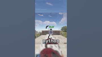 Pay 2 win rust skins