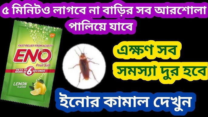 Ular qora tanli ayollarning eshaklariga kiradilar