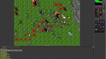 Tibia 7.3 (Level 35 Druid uses Undead Legion (Exana Mas Mort) spell and to hunt Cyclops)
