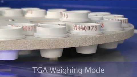 WS3000 Weigh Station.mov