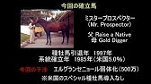 ゆっくり解説 ウイニングポスト9 21 系統確立 アリダー編 Youtube ゆっくり解説 ウイニングポスト9 21 系統確立 アリダー編 Youtube