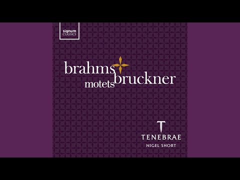 Putar Fest- und Gedenksprüche, Op. 109: III. Wo ist ein so herrlich Volk - Tenebrae