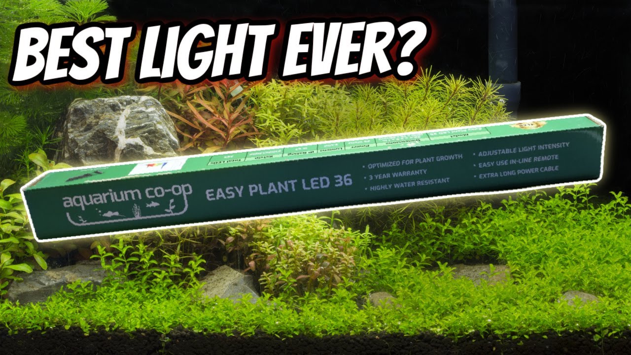 Aquarium CoOp Light Unboxing and Review YouTube