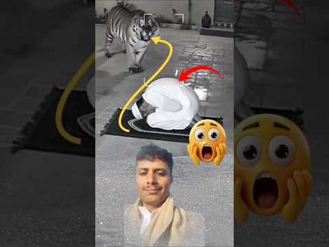 من توكل على الله أدركه بحمايته ووفقه بعونه ونجاه من كل خطر ترند Ai 