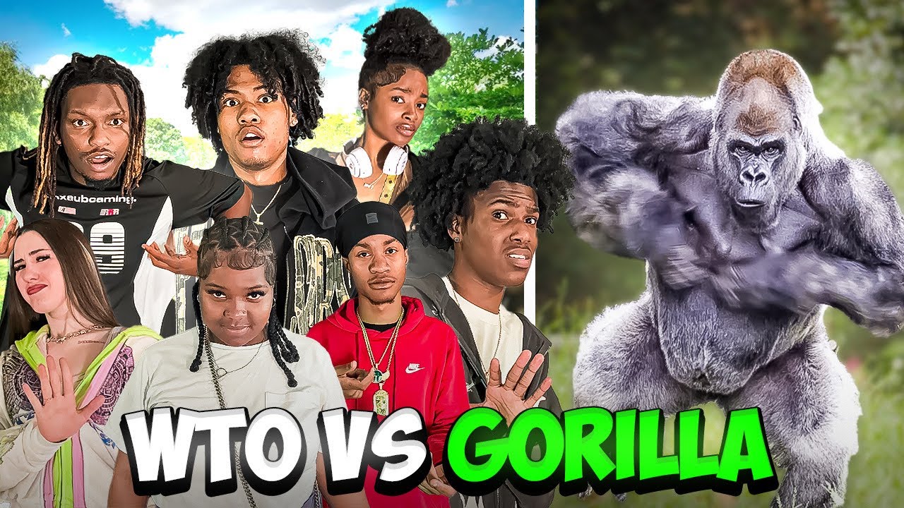 TELLING @wtosquad IM SETTING THEM UP FOR THE 100 YNS VS THE GORILLA ￼“ THIS HAPPENED 💔”