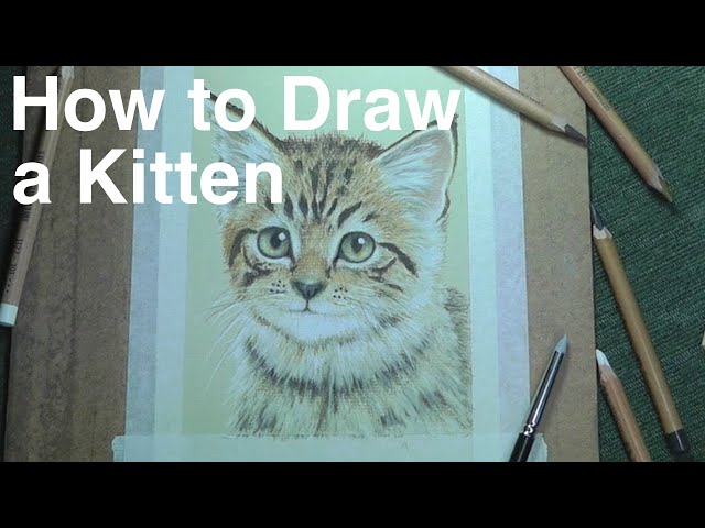 Kitten on Pastelmat using Colored Pencils with Mandy October 5, 12, and 19  from 3:00 - 6:00.