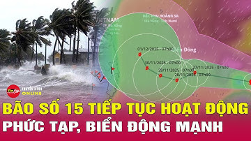 Thời sự trưa 30/11: Bão số 15 Koto và áp thấp nhiệt đới tiếp tục diễn biến phức tạp, biển động mạnh