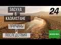 Засуха в Казахстане: причины и последствия | Экологика