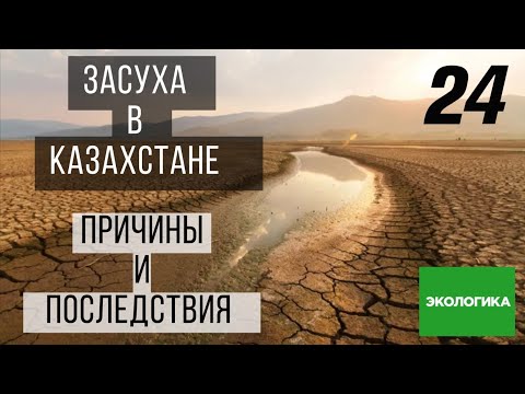 Видео: Как сказать засуха?